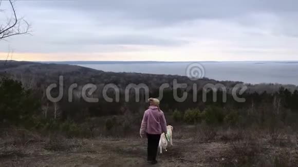 在山顶上徒步旅行的女人和她的狗视频的预览图