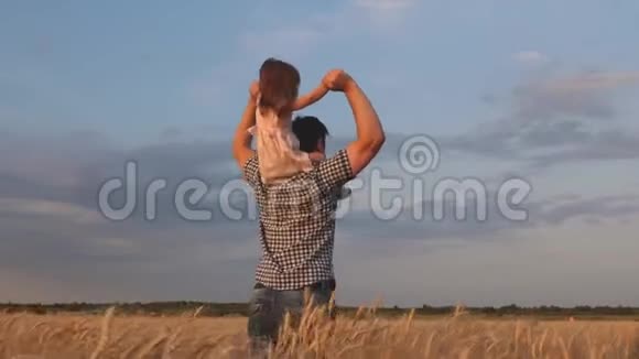 父亲肩上的小幸福女儿在蓝天的映衬下小男孩和爸爸在麦田里旅行视频的预览图