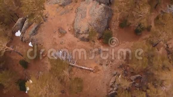 佩斯坎卡岩石间的老死树视频的预览图