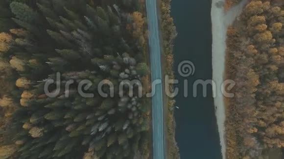 大自然的空中飞行河与道路平行树冠视频的预览图