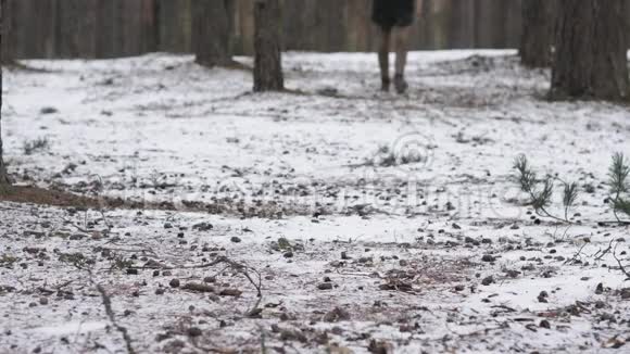 一个人穿过冬天的树林走到摄像机前框架只有腿视频的预览图