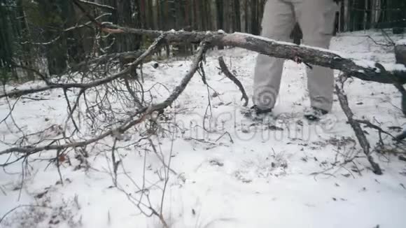 一个人用斧子砍树枝生火在冬天的特写镜头收割木柴视频的预览图