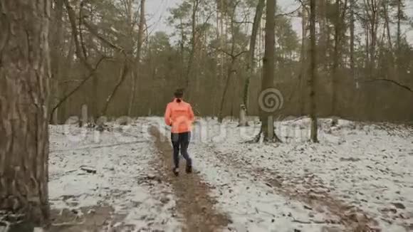 女运动员在冬季公园跑步女人在森林里慢跑专业女跑运动员的艰苦训练和准备视频的预览图