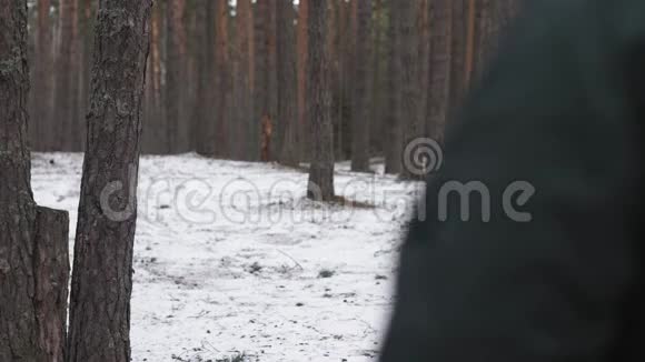 一个人正从摄像机穿过树林跑到远处视频的预览图