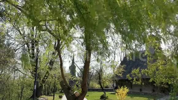 柳树微风在村庄的木制教堂旁边视频的预览图