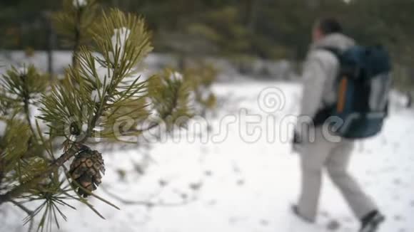 一个背着背包的人正以模糊的方式穿过冬林松果特写视频的预览图
