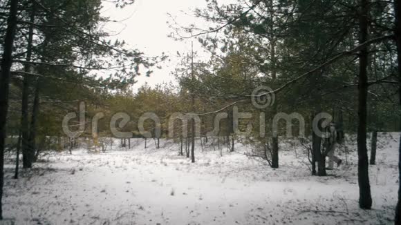 一个背着背包的人走过一个冬天的松林角度很广视频的预览图