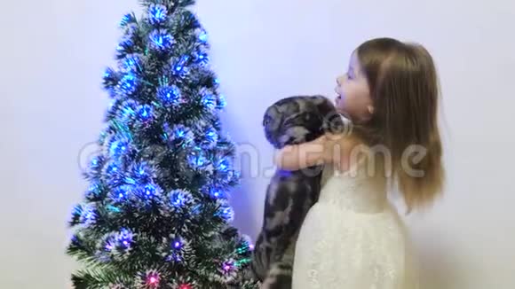 小女孩和一只猫在孩子们房间里玩圣诞树宝贝和圣诞树圣诞节假期视频的预览图