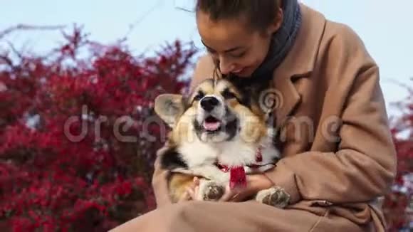 美丽的微笑女人在大自然中行走可爱的狗视频的预览图