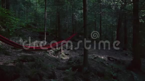 林中树木之间吊床的运动视频的预览图