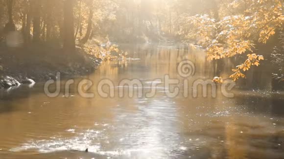 秋天公园里流淌的河流视频的预览图