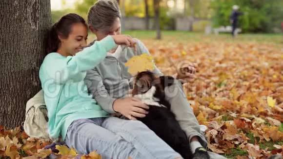可爱的情侣在智能手机上自拍可爱的三色威尔士科尔吉狗在城市公园拥抱放松享受温暖视频的预览图