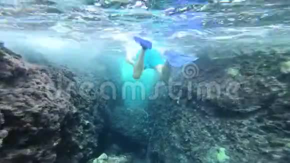 在水下探索热带海洋的人视频的预览图