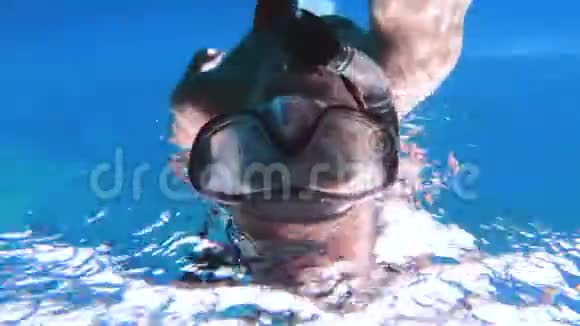 从水下俯瞰一名潜水者在热带水域潜水视频的预览图