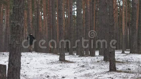 一个背着背包的人在镜头旁边的冬日森林里奔跑视频的预览图