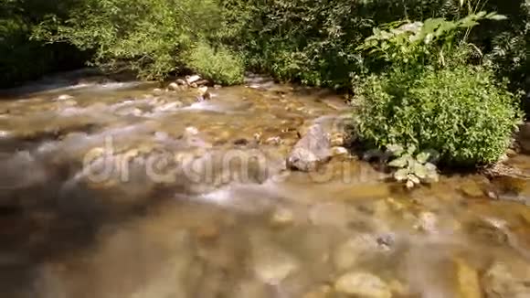 溪水和岩石视频的预览图