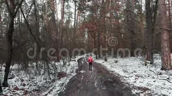 在森林里奔跑的女人在冬季公园里活跃的年轻女性慢跑职业运动员在m中激烈的跑步视频的预览图