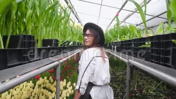 园丁女孩沿着一排排郁金香女人在农场工作种花视频的预览图