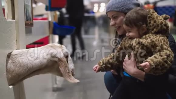 小女孩在集市上和妈妈一起抚摸山羊视频的预览图