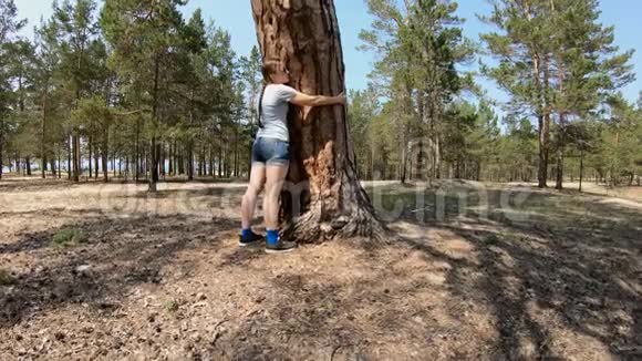 女孩抱着一棵大树视频的预览图