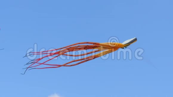 空中风筝节八达通视频的预览图