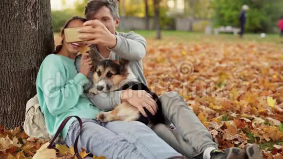可爱的情侣在智能手机上自拍可爱的三色威尔士科尔吉狗在城市公园拥抱放松享受温暖视频的预览图