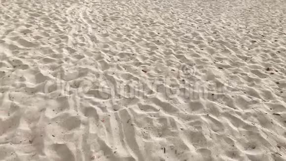 海边沙滩上的脚印视频的预览图