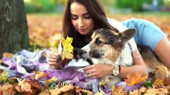 微笑着快乐的女人和威尔士科尔吉彭布罗克狗在户外公园里玩年轻的女主人拥抱宠物视频的预览图