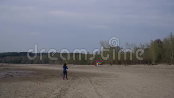 在岸上放风筝的女孩视频的预览图