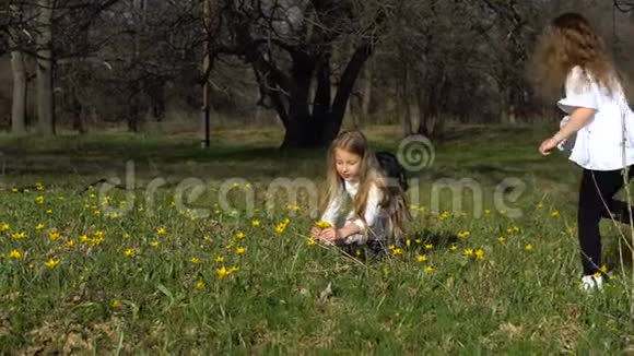 肖像小女孩草地背景视频的预览图