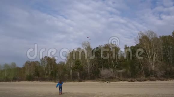 在岸上放风筝的女孩视频的预览图
