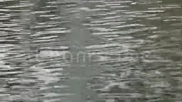 在水面上荡漾视频的预览图