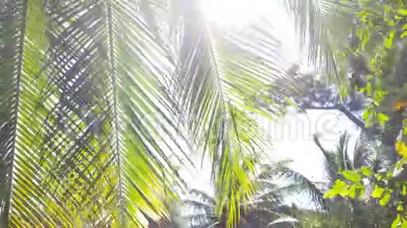 在越南温暖的南方阳光明媚的一天视频的预览图