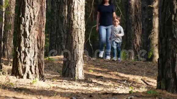 幸福的一家人在树林里散步享受大自然可爱的小男孩穿过森林视频的预览图