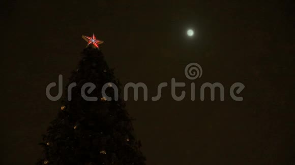 圣诞树对着月亮闪烁视频的预览图