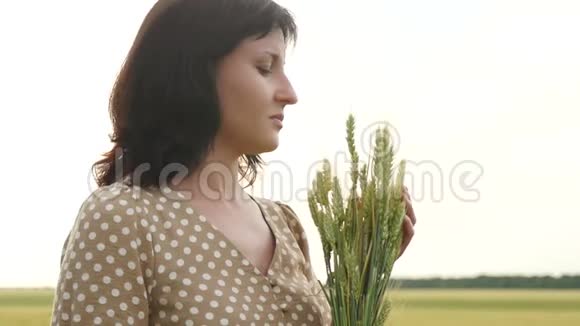 女人脸的肖像女孩手里拿着成熟的麦穗用手轻轻地抚摸着它们视频的预览图