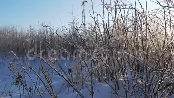白雪皑皑的乡村里的干草视频的预览图