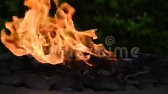 火焰在装饰的室外火坑中摇曳2视频的预览图