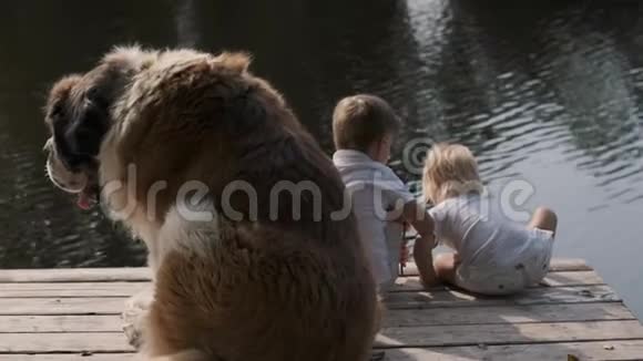 两个小男孩和一只大狗在河边的码头上儿童看守视频的预览图