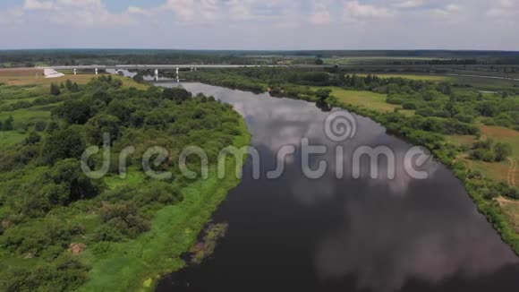 飞越森林附近的河流视频的预览图