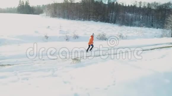 穿着橙色夹克的年轻女子在冬天的森林和雪道上和哈士奇品种的灰色小狗奔跑视频的预览图