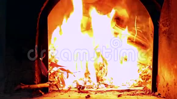 篝火产生的火焰视频的预览图