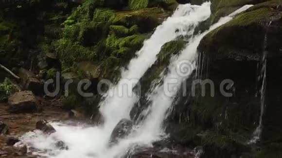 一股水流穿过苔藓中的石头视频的预览图