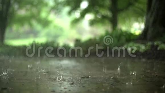 夏雨天视频的预览图