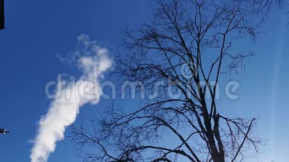 吸烟烟囱深蓝的天空视频的预览图