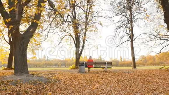 穿红色裙子的女孩坐在长凳上秋天的公园有黄色的叶子相机在运动视频的预览图