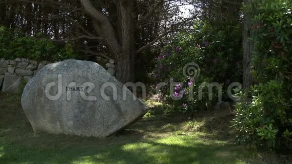 庭院和花园区的巨石视频的预览图
