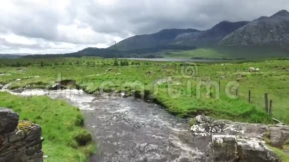 爱尔兰康奈马拉的河和山景38视频的预览图