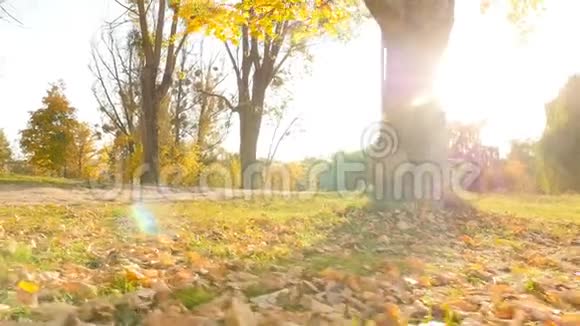 人在户外公园骑自行车明亮的阳光慢动作视频的预览图