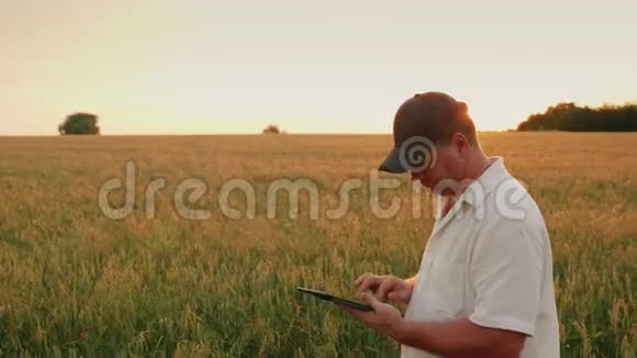 在田里干活的中年男子农民它使用数字平板电脑傍晚日落时分视频的预览图